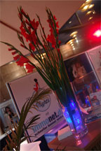 cocktailbar_immonet